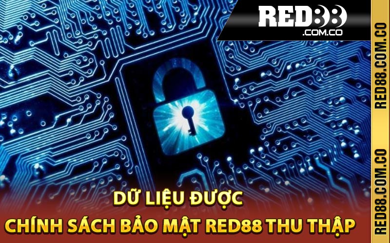 Dữ liệu được chính sách bảo mật Red88 thu thập